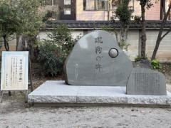 �����n��