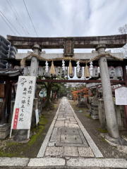 �����n��