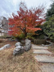 �����n��