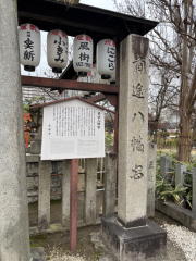 �����n��