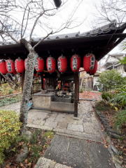 �����n��