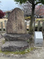 �����n��