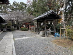 �����n��