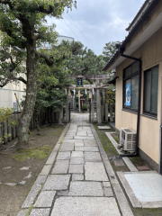 �����n��