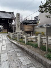 �����n��