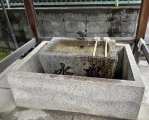 �����n��