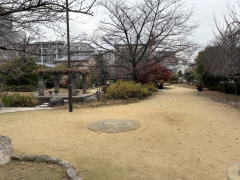 �����n��