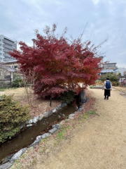 �����n��