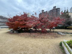 �����n��