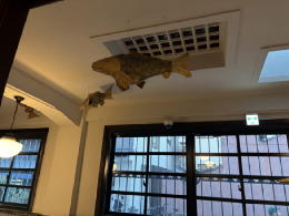 �C�V���֘A