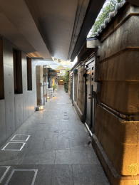 �C�V���֘A