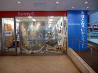 �M�������[C_�O�����i