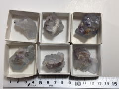 �t���[���C�g