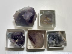 �t���[���C�g