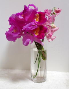 ���ۂɏ����Ă��镗�i