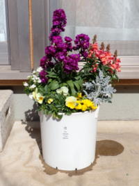 ���ۂɏ����Ă��镗�i