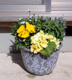 ���ۂɏ����Ă��镗�i