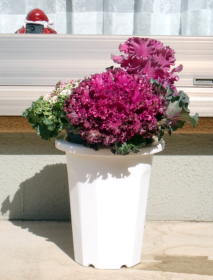 ���ۂɏ����Ă��镗�i