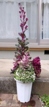 ���ۂɏ����Ă��镗�i