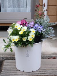 ���ۂɏ����Ă��镗�i