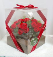 �t�����[�A�����W�����g